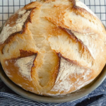 Speedy Same Day Sourdough Bread