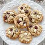 Oatmeal Cranberry Cookies
